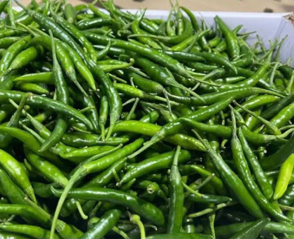 Fresh Green Chilli