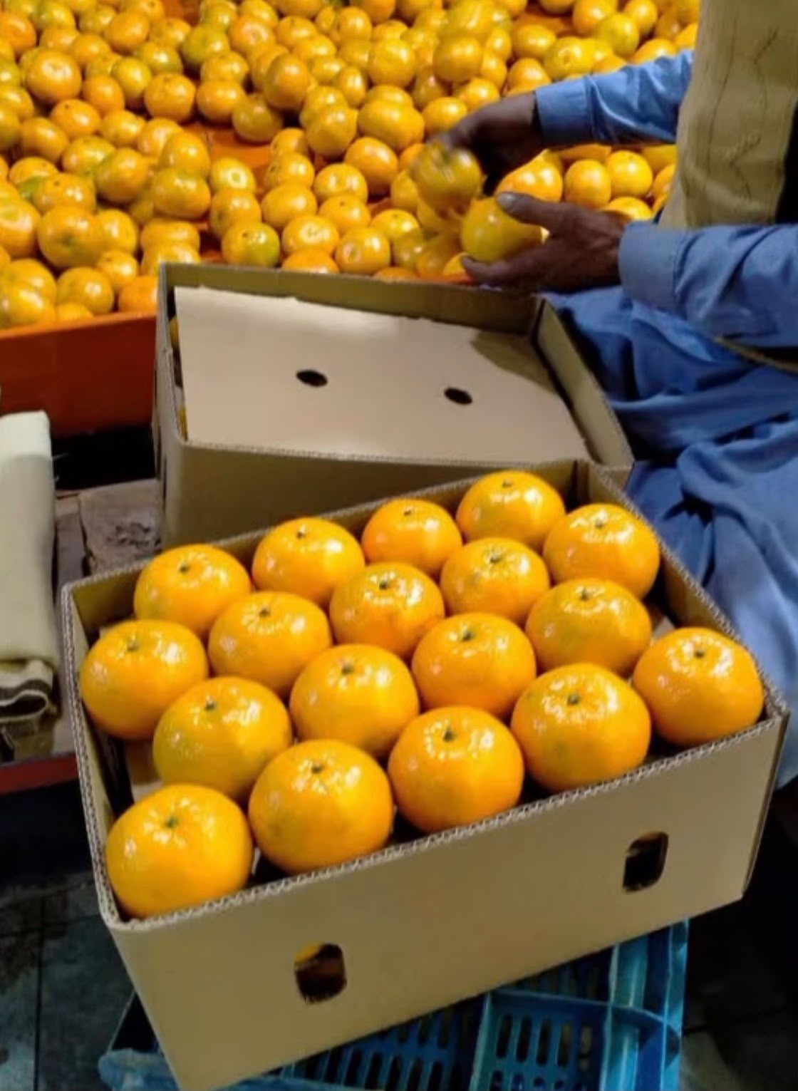 Kinnow Mandarins