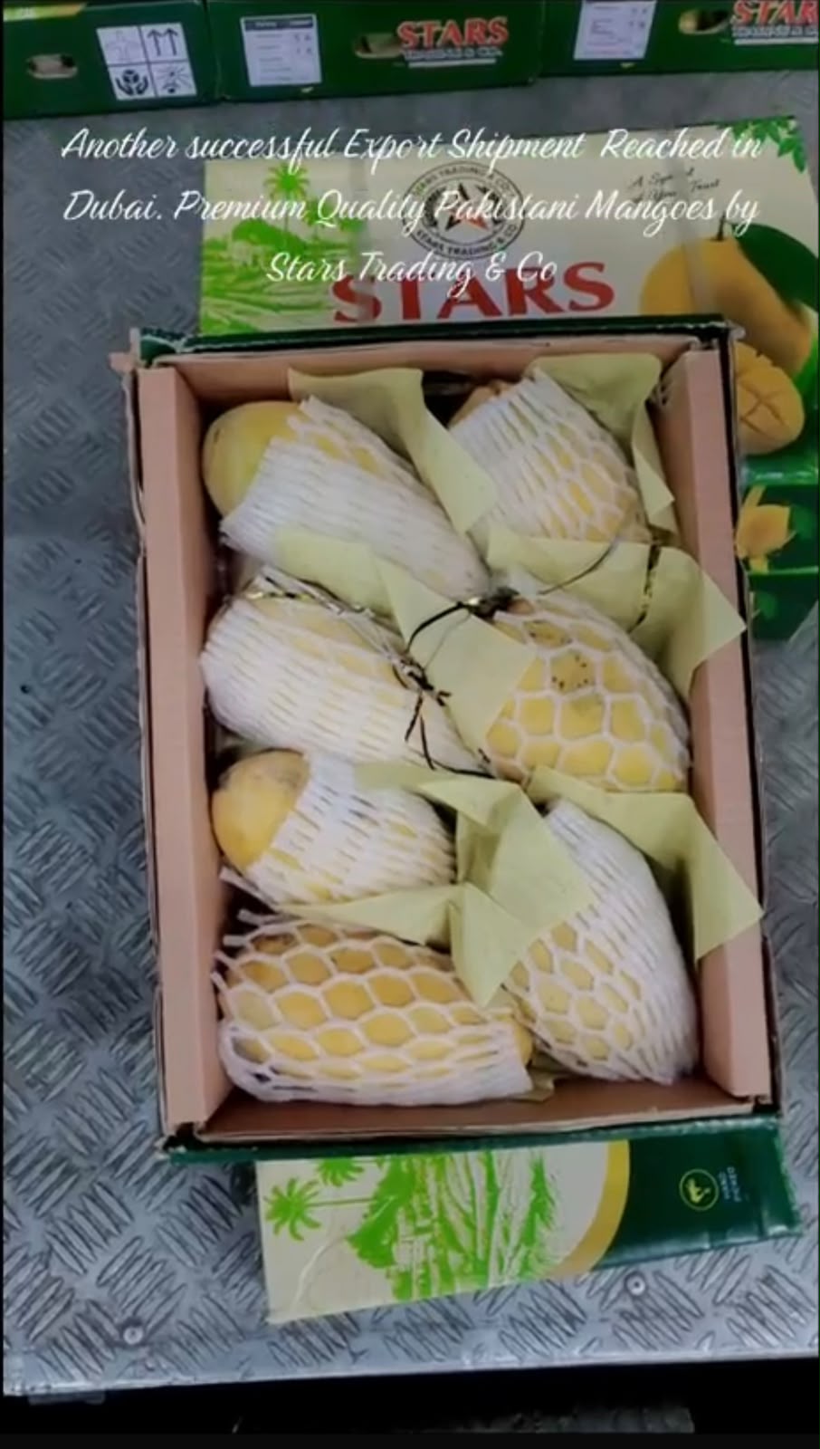 Mango Packing