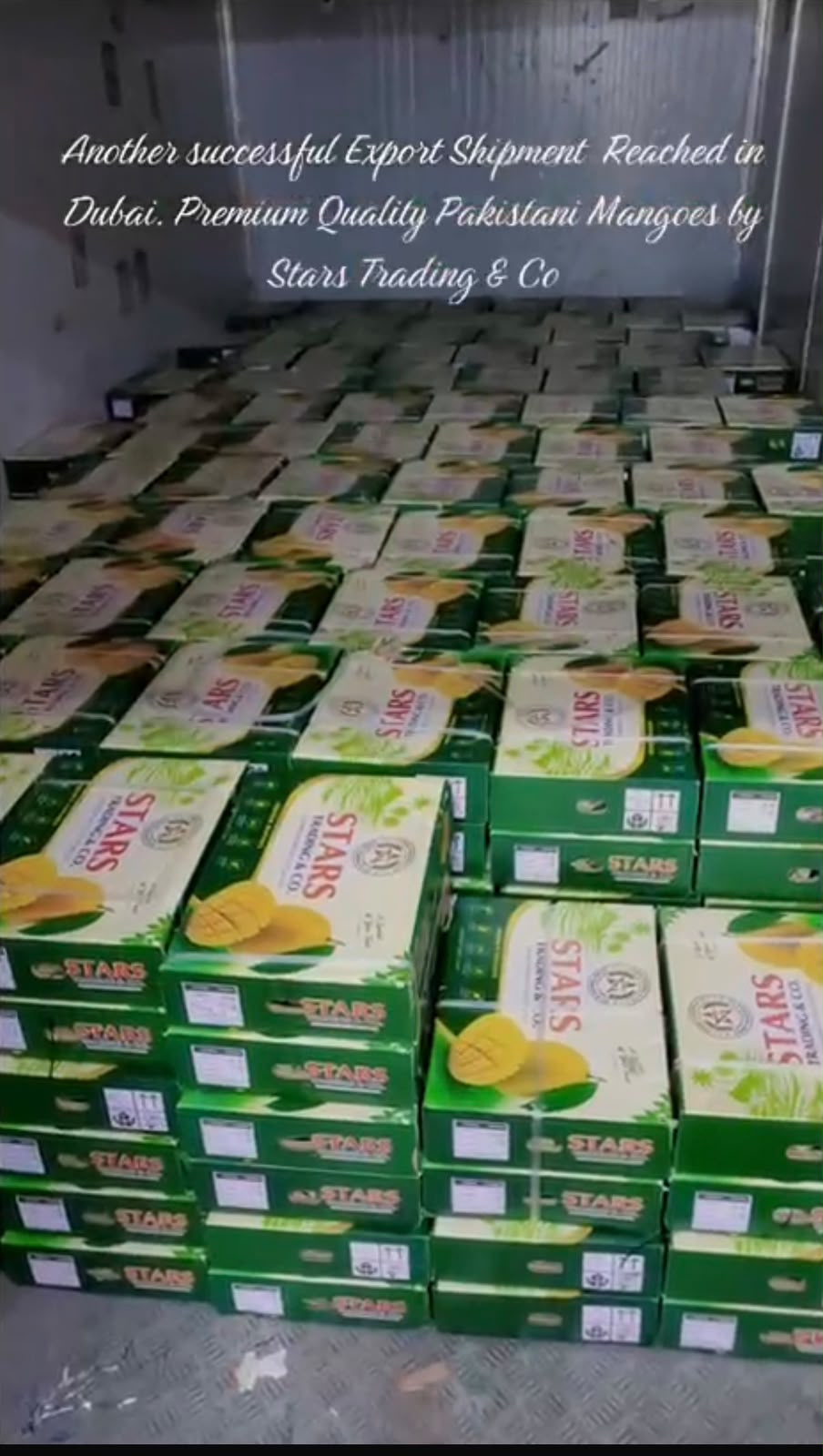 Mango Packing