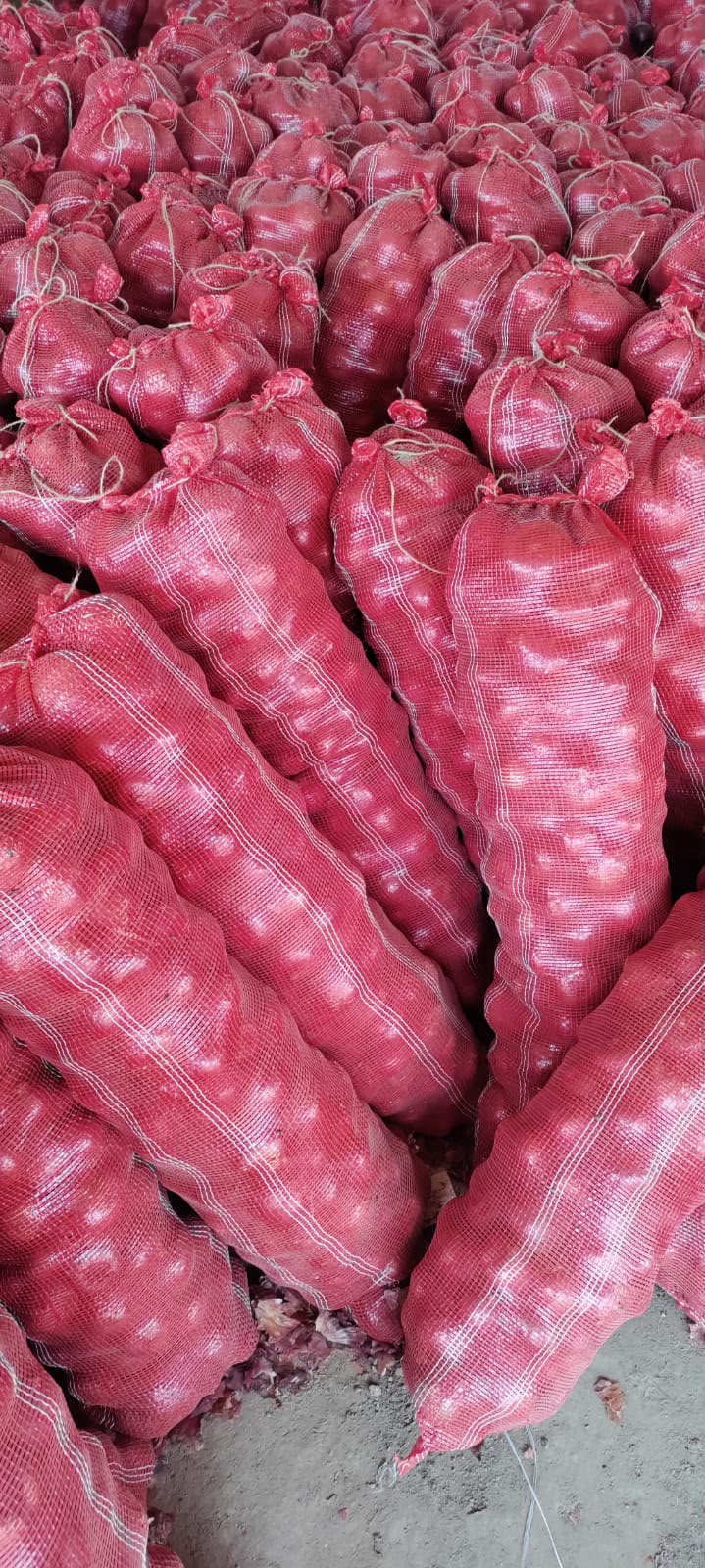 Fresh Red Onions