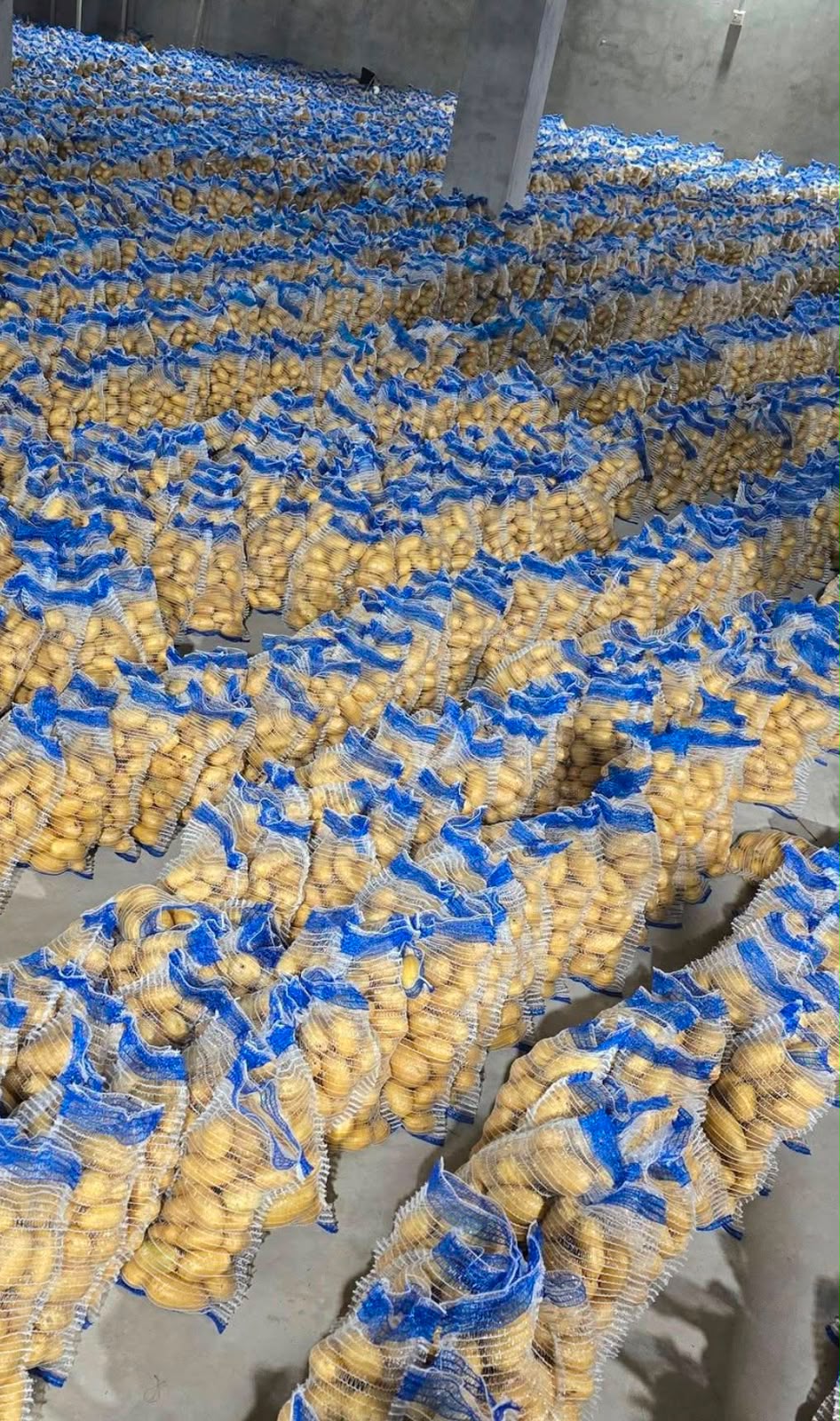 Solfresh Potatoes