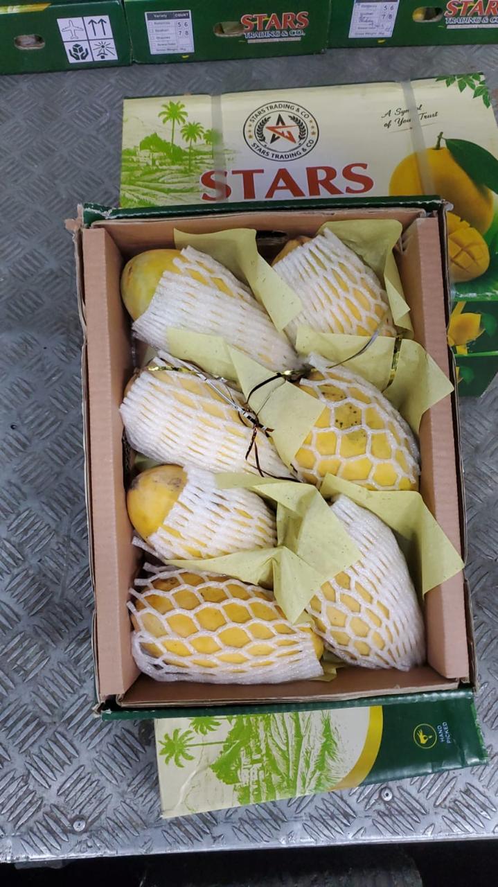 Premium Mangoes